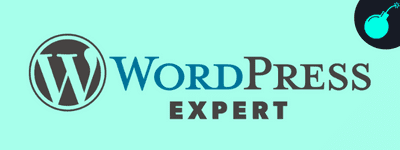 wordpress expert osez exploser croissance chiffre daffaire specialistes strategie digitale acquisition clients